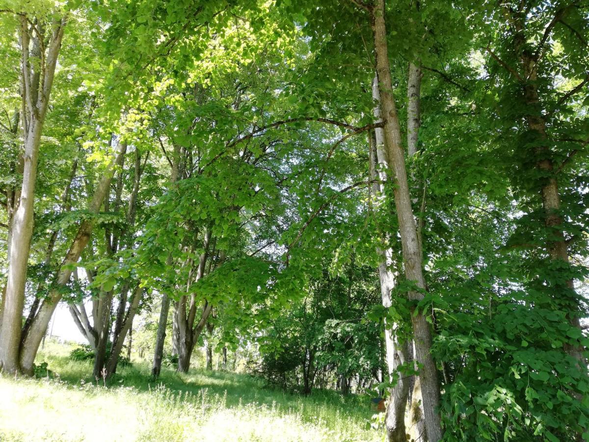 Les Insolites De La Touche Azay-le-Rideau